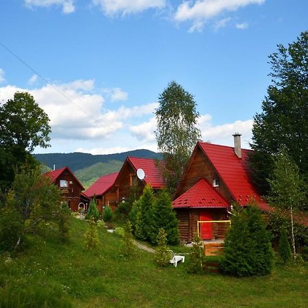 Teremok Guest House Vîșka Exterior foto