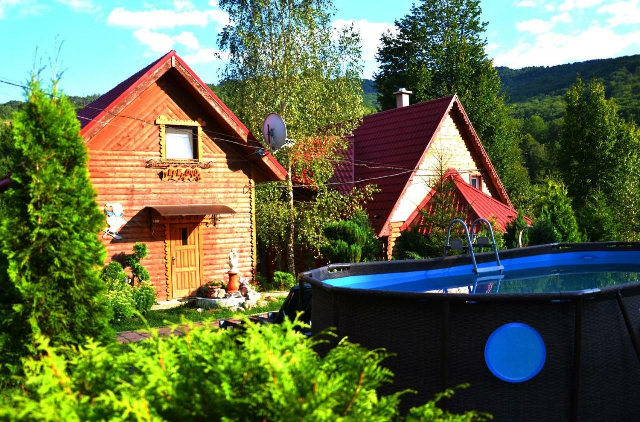 Teremok Guest House Vîșka Exterior foto